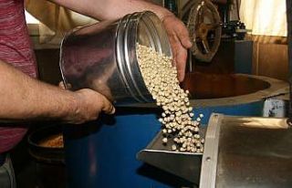 Denizli kuruyemiş ihracatında zirvede