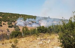 Denizli’de orman yangına havadan ve karadan müdahale...