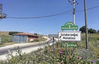 Deprem anını anlatırken gözyaşlarını tutamadı