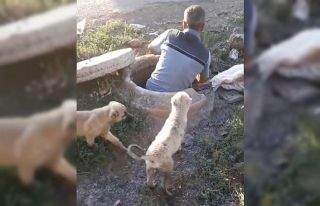 Diyarbakır’da ’insanlık ölmemiş’ dedirten...