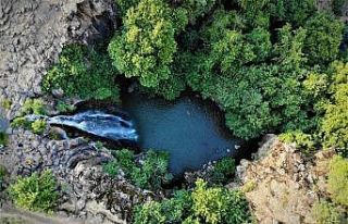 Diyarbakır’ın saklı cenneti: Şeyhandede şelalesi
