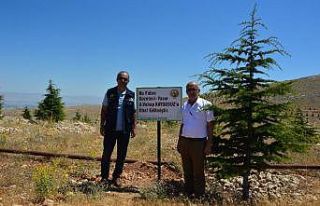 Doğa aşığı gazeteciye plaket