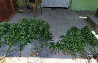 Dörtyol’da uyuşturucu operasyonu