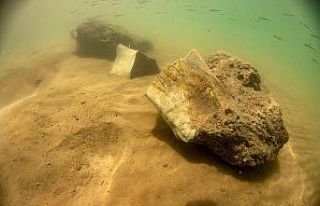 Dünyada ilk kez kara canlısının fosili Yamula...