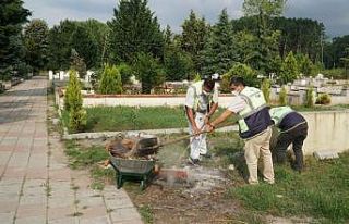 Düzce Belediyesi mezarlıkları bayrama hazırladı