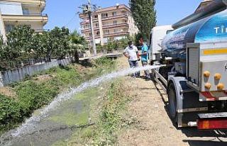 Edremit Belediyesi’nden su kaplumbağalarına can...