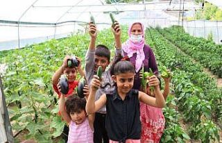 Edremit’te çiftçiye sağlanan destek meyvelerini...
