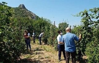 Eğirdir’de böğürtlen demonstrasyonu