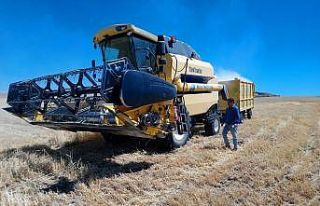 Elazığ’da hasat devam ediyor, biçerdöverlerde...