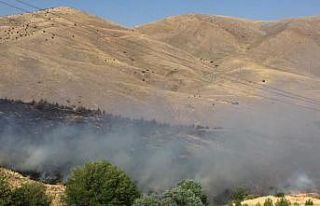 Elazığ’daki orman yangını söndürüldü