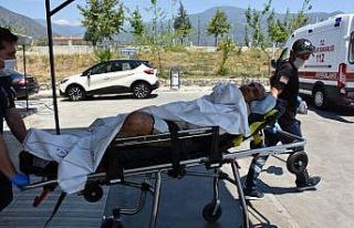 Elektrik sayacı okuyan görevliye pitbull saldırısı...