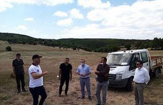 Emet kendi enerjisini üretecek