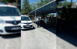 Emet’e hayvan pazarı