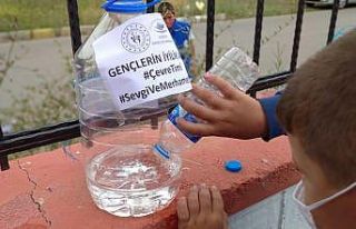 En genç gönüllüler sokak hayvanları için seferber
