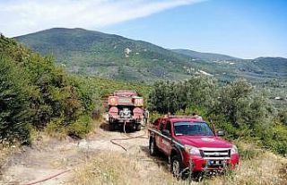 Erdek Ocaklar’daki orman yangını söndürüldü