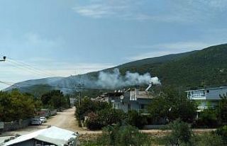 Erdek’te orman yangını