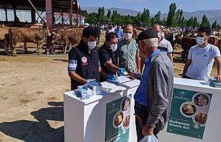 Erzincan Hayvan Pazarında kurbanlık denetimleri...