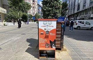 Esenler’de sokak hayvanları mamamatik ile besleniyor