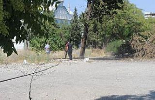 Eski hastane bahçesindeki ağaç alev aldı