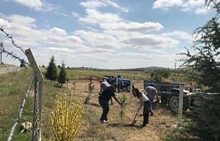 ESOGÜ Mahmudiye Atçılık Meslek Yüksekokulu’nda...