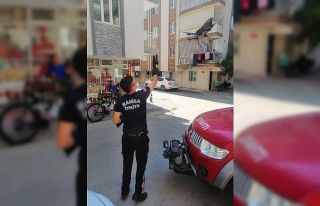 Evdeki davetsiz misafiri Manisa itfaiyesi özgürlüğüne...