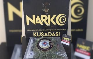 Evinin bahçesini uyuşturucu tarlasına çevirmiş