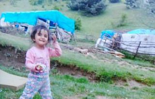 Evrim’in kaybolmasının üzerinden 2 yıl geçti,...