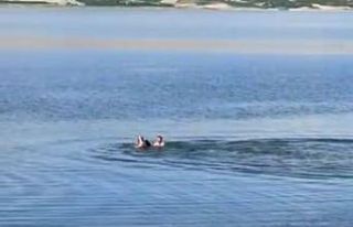 Feribot kaptanı, boğulmak üzere olan şahsı kurtardı