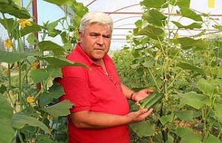 Fransa’da gördü, Alaşehir’de uyguladı