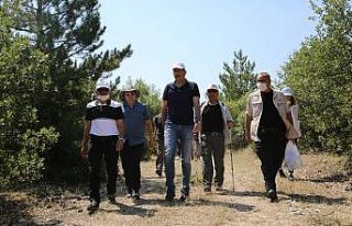 Frigya vadilerini inceledi