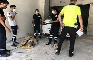 Gaz ile freni karıştıran sürücü dükkana daldı