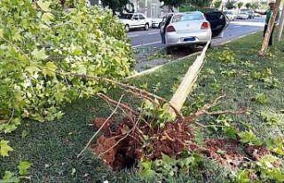 Gaziantep’te ehliyetsiz sürücü dehşeti