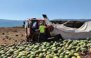 Gaziantep’te karpuz yüklü kamyon tarlaya uçtu:...