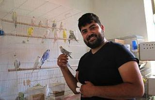 Genç cami imamı hobi olarak kuş yetiştiriciliği...