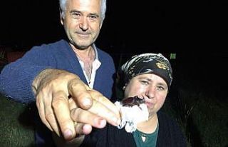 Gergedan böceklerine dondurma ikram ettiler, öz...