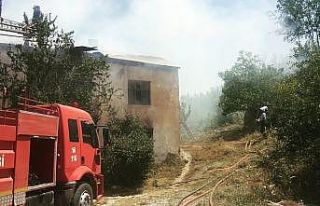 Gevaş’ta korkutan yangın