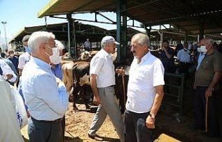 Güder, hayvan pazarını ziyaret etti