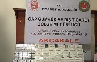 Gümrük kapısında telefon hap ve sigara ele geçirildi