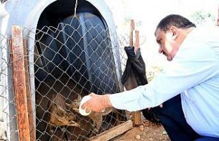 Gürkan’dan yaban hayatı gözlem merkezine ziyaret