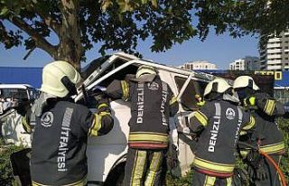 Hafif ticari araç ağaca çarparak durabildi: 2 yaralı