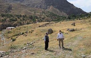 Hakkari’de kurban satış ve kesim yerleri belirlendi