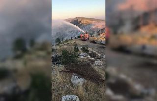 Hasankeyf’te çıkan yangında 2 bin dönümlük...