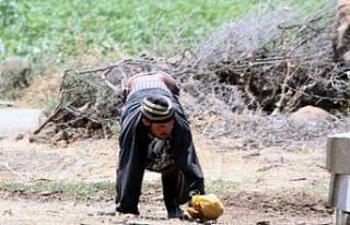 Hatay’da ’dört ayaklı inşalar’ olarak bilinen...