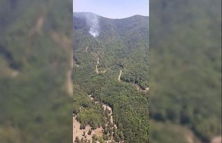 Hatay’da orman yangını