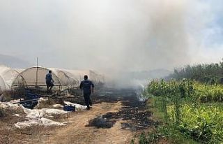 Hatay’da ot yangını seraları yaktı