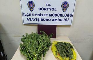 Hatay’da uyuşturucu operasyonu