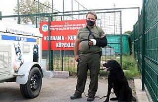Havai fişek fabrikasındaki patlamada kolundan yaralanan...