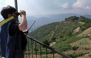 Hayatını ormanlara adadı