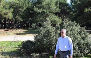 HayatPark’ın ilk etabı gün sayıyor