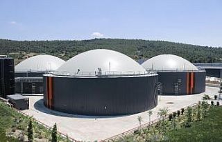 Hayvan dışkıları elektrik ve organik gübreye...